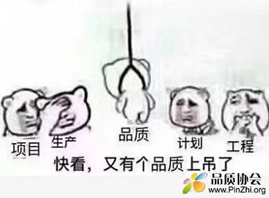 品质上吊了.JPG