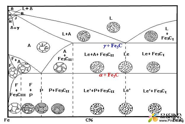 Fe-C相图和C曲线.jpg