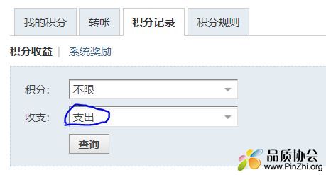 选择“支出”，点击查询.JPG
