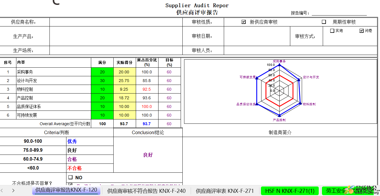 Supplier Audit Report 供应商评审报告